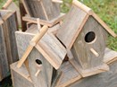 Birdhouses - Bird's the Word